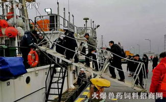 2019開門紅 橫沙國際漁港喜迎年度首艘外輪，助力畜牧漁業飼料銷售