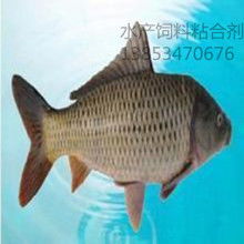 河南省漁業(yè)有限責(zé)任公司 多元養(yǎng)殖與專業(yè)飼料供應(yīng)的水產(chǎn)先鋒