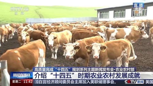十四五時期畜牧漁業飼料銷售 三大關鍵詞看變革與成效